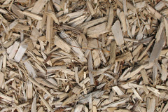 biomass boilers Tanerdy